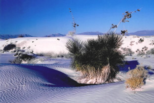 White Sands N.P.-NEW MEXICO