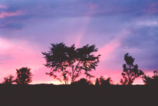 WISCONSIN