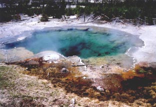 Yellowstone N.P.-WYOMING
