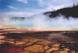 Yellowstone N.P.-WYOMING