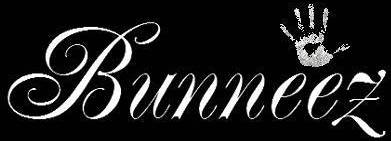 Bunneez...t-shirts, hoodies, shirts, tanks, big and tall up to 6XL