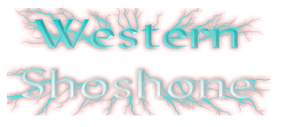 Rez Style Graphic: WShoshone