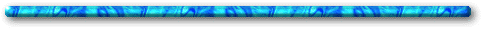Bar17.gif (4996 bytes)