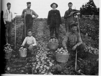 jedidiah.jpg (21669 bytes)