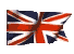 English Version
