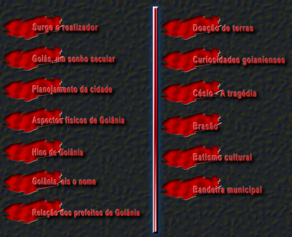 Bandeira municipal