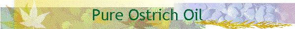 Pure Ostrich Oil