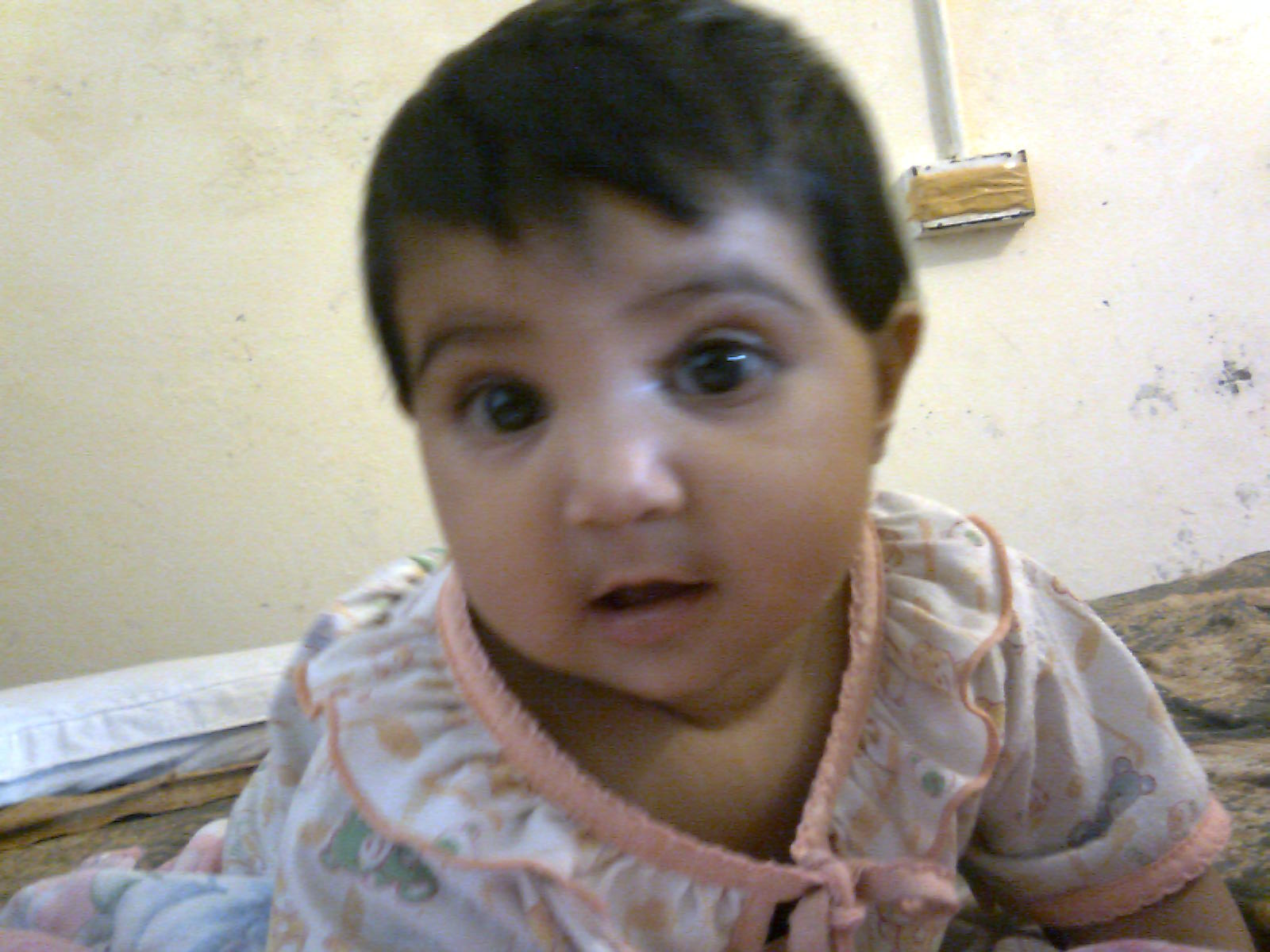 khushbakht