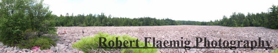 Flaemig