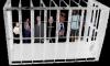 Link to people in a cage