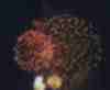 Fireworks at
St. John's (1999)