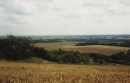 The North Downs (home)