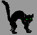 [ BLACK CAT ]