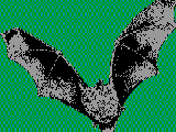 [ BAT ]