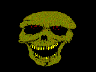 [  SKULL ]