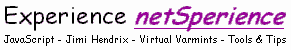 are you netSperienced?