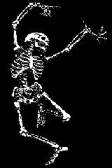  [ SKELETON ] 