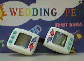 wedding pet games