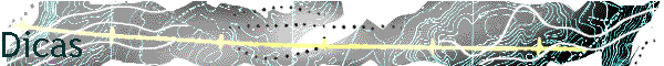 Dicas1.gif (13233 bytes)