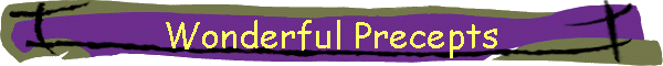 Wonderful Precepts