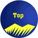 Site de buscas 