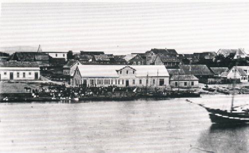 pic1.jpg (26890 bytes)
