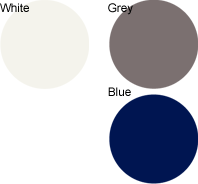 Honda Civic Color Variations