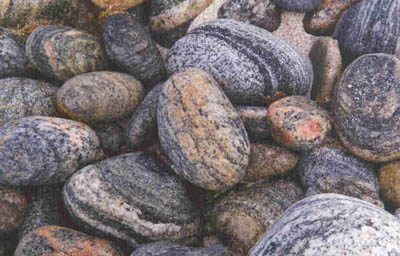 gneiss.jpg (36046 bytes)