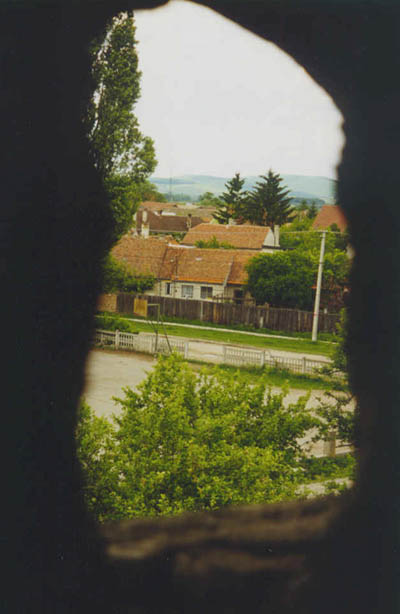 hp copy.jpg (39141 bytes)
