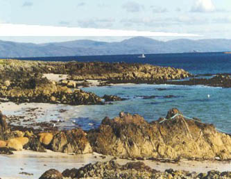 Copy of iona2 copy.jpg (29204 bytes)