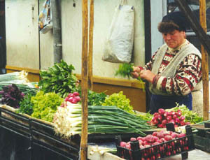 market3 copy.jpg (28543 bytes)