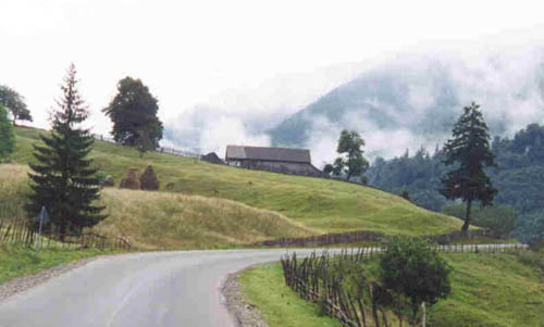 roadrom copy.jpg (26748 bytes)