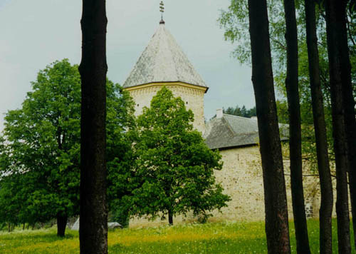 suceavita copy.jpg (48931 bytes)