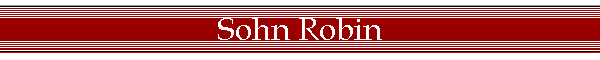 Sohn Robin