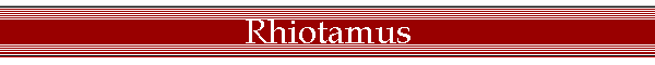 Rhiotamus