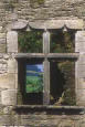 L'Arche L'�toile