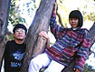 Tree at Stanford University
