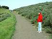 Mine Trail, Santa Teresa Park