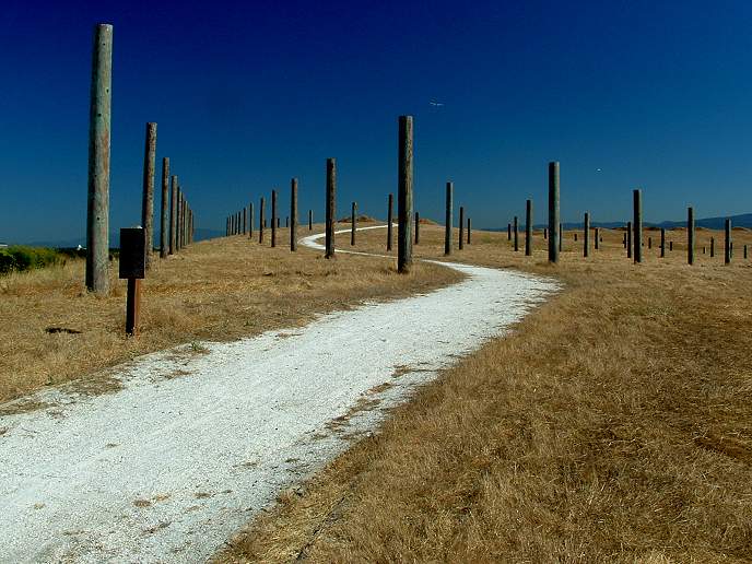 Byxbee Park Pole Field