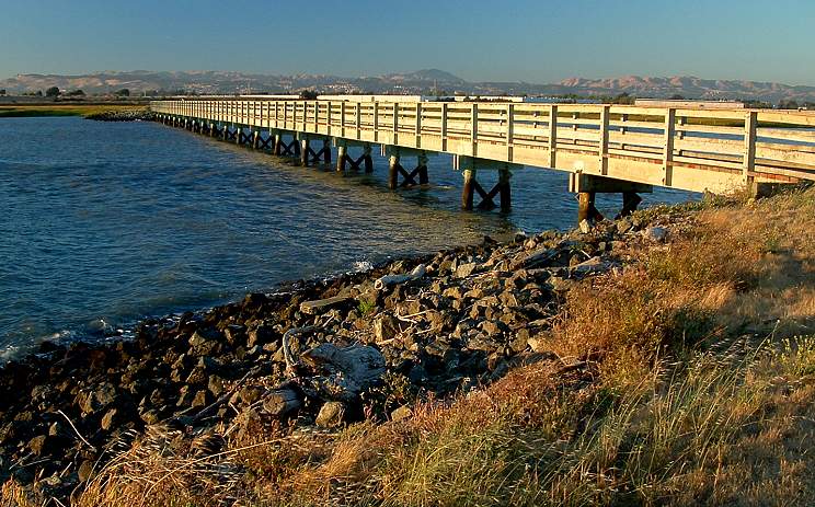 Hayward Shoreline, Cogswell Marsh Bridge