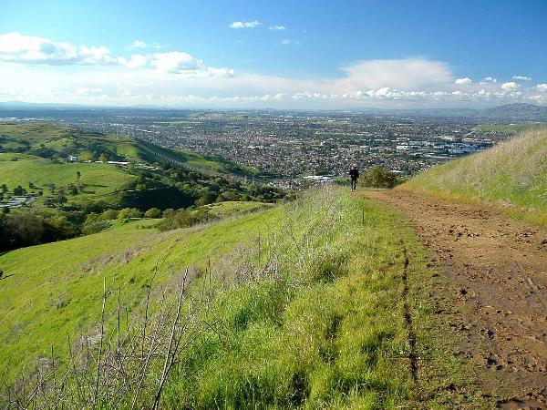 The Coyote Peak Trail