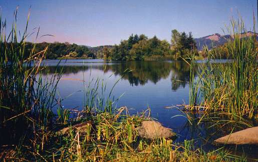 Spring Lake 8/1990