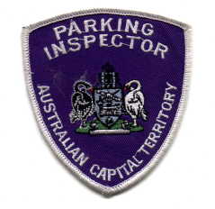 Parking Inspector 