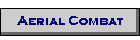 Aerial Combat