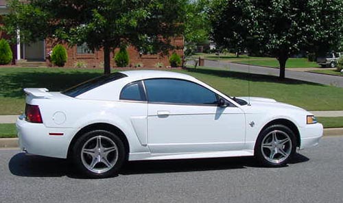 mustang