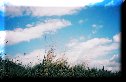 Scenery Photos