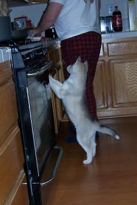 Chef Lily.