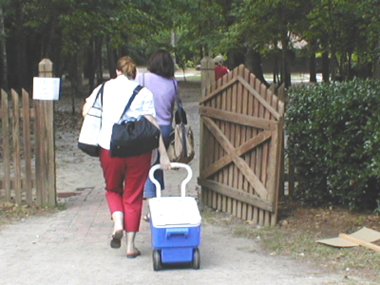 You can never have too many coolers...