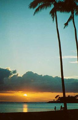 click here to come to Hawaii