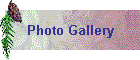 2004 Photos